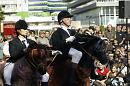 les chevaux 015 * 4272 x 2848 * (4.1MB)